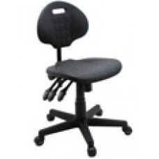 Poly Typist 