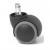 Castors 